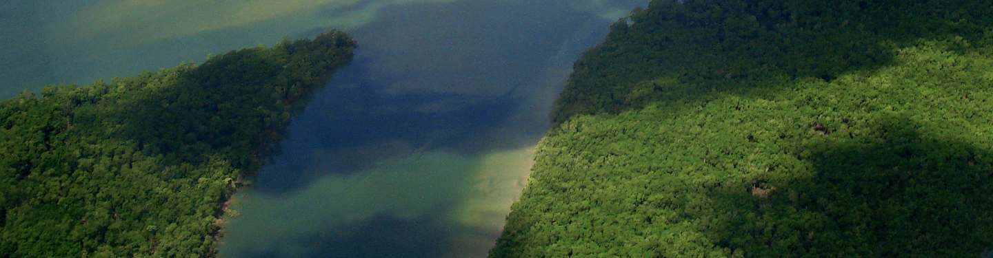 Imagem ilustrativa de paisagem