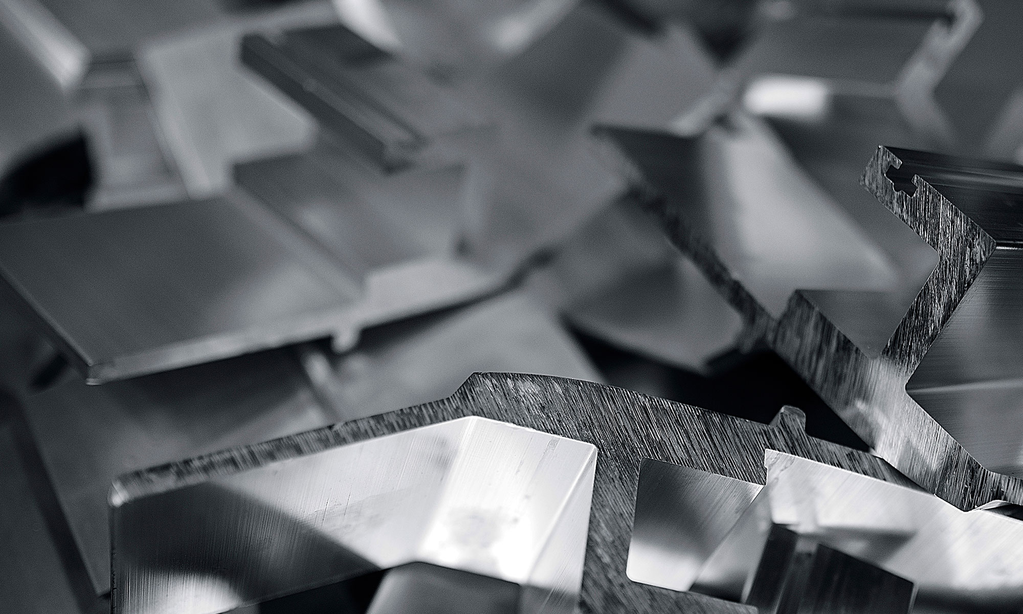a close-up of a hand holding a book
