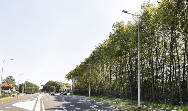 a road with trees on the side